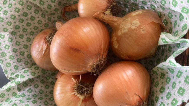 Gule løg i pose á 1 kg - Højvang Økologi