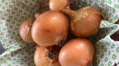 Gule løg i pose á 1 kg - Højvang Økologi