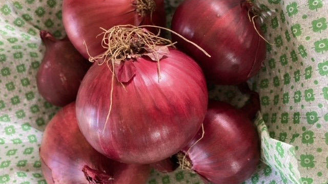Røde løg i pose á 1 kg - Højvang Økologi